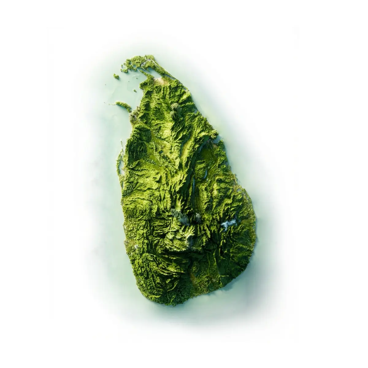 Sri Lanka satellite view